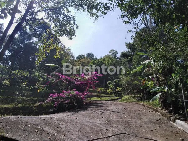 image TANAH DI BELAKANG RDP (6)