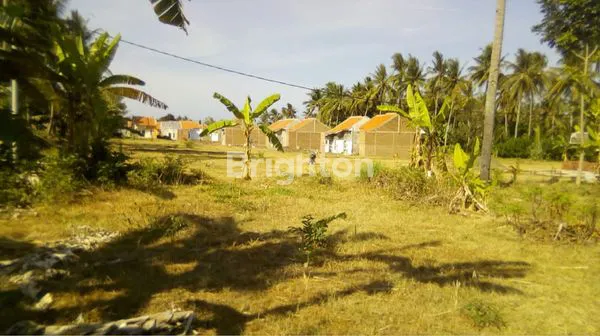 image TANAH KEBUN KELAPA DI BANYUWANGI COCOK UNTUK INVESTASI (2)