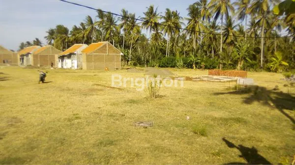 image TANAH KEBUN KELAPA DI BANYUWANGI COCOK UNTUK INVESTASI (3)