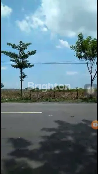 image TANAH LUAS COCOK UNTUK INDUSTRI (1)