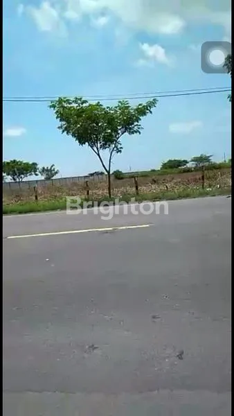 image TANAH LUAS COCOK UNTUK INDUSTRI (5)