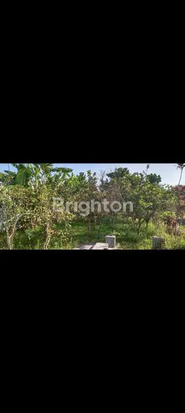 image TANAH STRATEGIS BUMIAJI KOTA BATU (6)