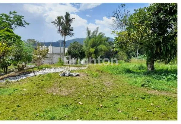 image TANAH YANG SEJUK, ADEM, DI KAWASAN PEGUNUNGAN (1)