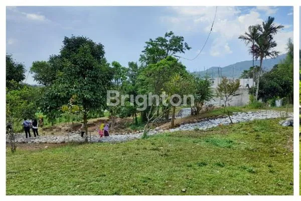 image TANAH YANG SEJUK, ADEM, DI KAWASAN PEGUNUNGAN (4)