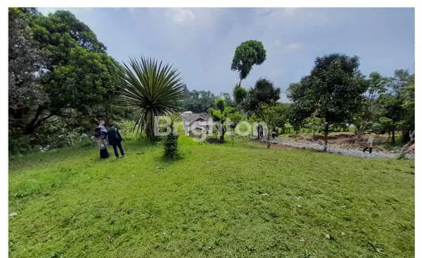 image TANAH YANG SEJUK, ADEM, DI KAWASAN PEGUNUNGAN (2)