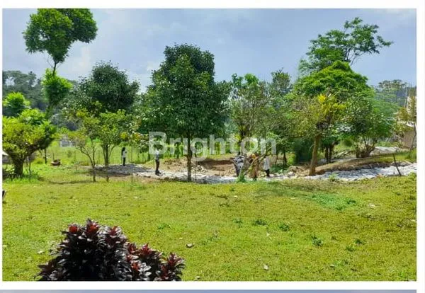 image TANAH YANG SEJUK, ADEM, DI KAWASAN PEGUNUNGAN (5)