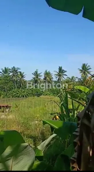 TANAH MURAH DENGAN VIEW SAWAH DAN GUNUNG