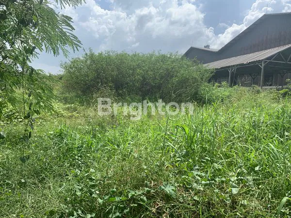 image TANAH KAVLING DI KAWASAN INDUSTRI CIKANDE (2)