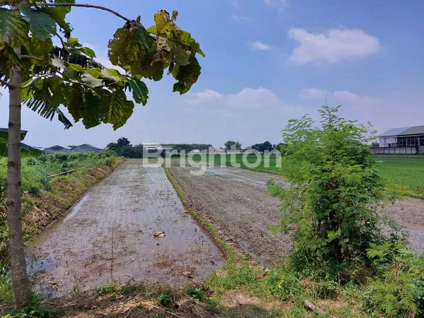 TANAH ZONA MERAH INDUSTRI BERAT KLATEN