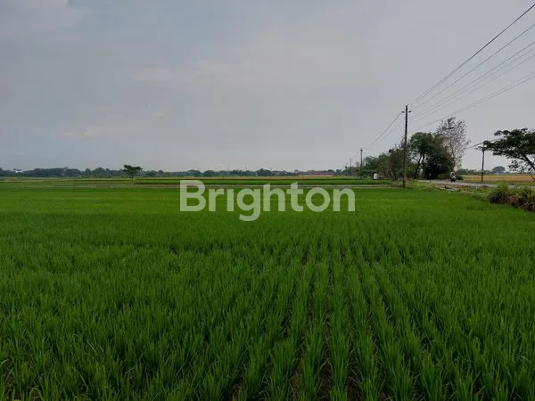 image TANAH BASAH ZONA MERAH INDUSTRI (2)