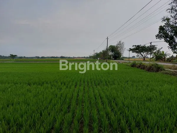 image TANAH BASAH ZONA MERAH INDUSTRI (4)