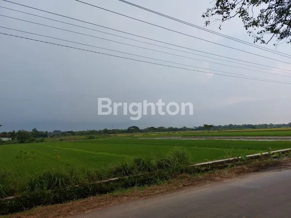 image TANAH BASAH ZONA MERAH INDUSTRI (5)