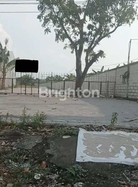 image TANAH 0 JALAN RAYA LONTAR SURABAYA (1)