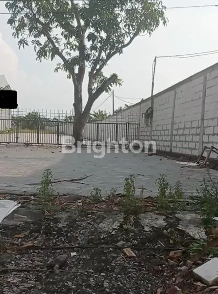 image TANAH 0 JALAN RAYA LONTAR SURABAYA (2)