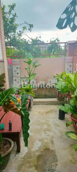 image TANAH LUAS PLUS RUMAH (7)