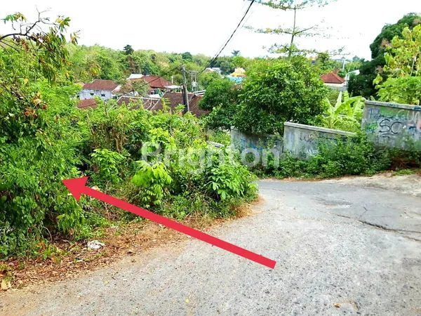 image LAHAN 5 ARE TAMAN GRIYA (4)