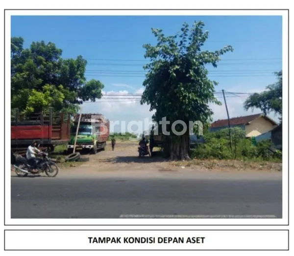 image TANAH DI, PROBOLINGGO, HADAP TIMUR LAUT (4)