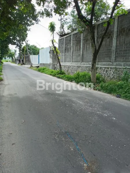 image GUDANG + KANTOR JALAN PROVINSI (2)