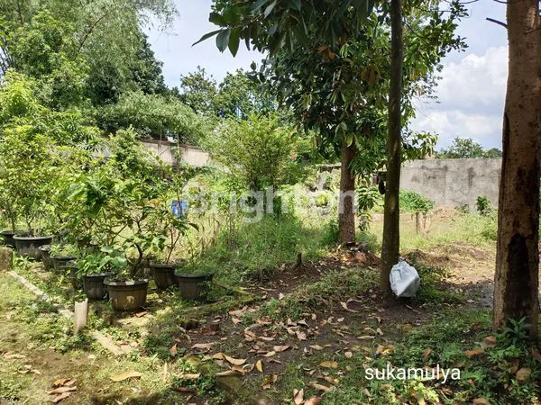 image TANAH SUKAMULYA SUDAH ADA TEMBOK + PAGAR STRATEGIS 200 M DARI JALAN RAYA PASTEUR (3)