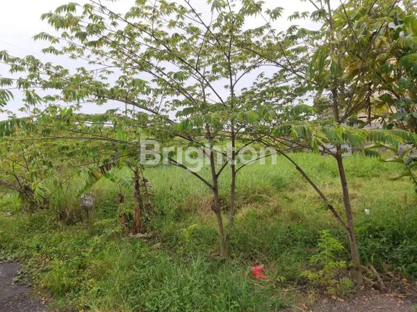 image TANAH 2 ARE AREA PERUMAHAN MENGWI (3)