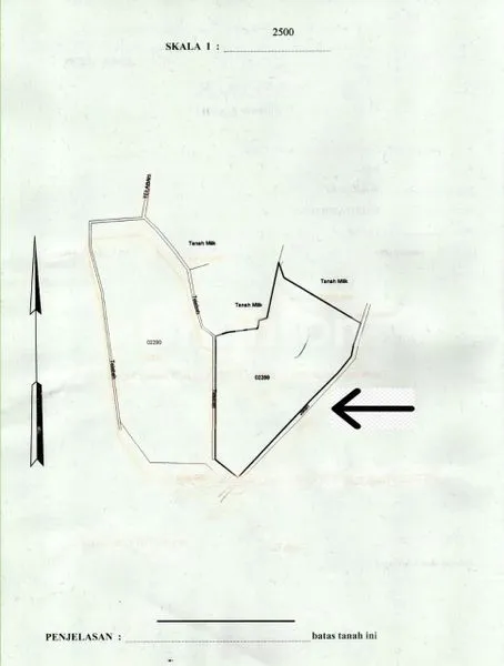 image TURUN HARGA.... TANAH KEBUN CENGKEH NAN HIJAU DI TAJUN (2)