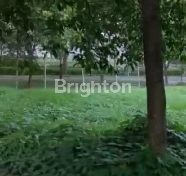 image TANAH CITRALAND ALAM HIJAU (2)