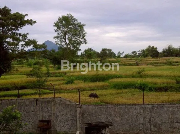 image RUMAH MAKAN LUAS LENGKAP DENGAN PERABOT DAERAH PRIGEN PASURUAN (4)