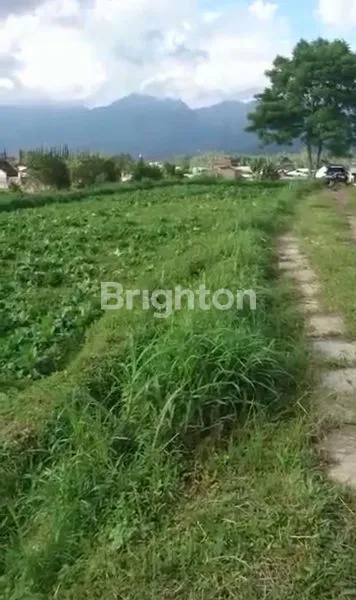 image TANAH DENGAN UDARA YANG SANGAT SEJUK ,SANGAT COCOK BUAT SEGALA USAHA (2)