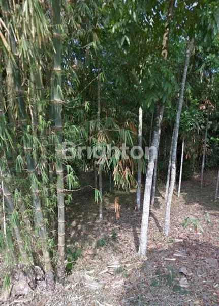 TANAH MURAH DI DEKAT LAVA TOUR MERAPI