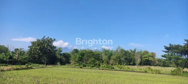 image TANAH DI NGANJUK (1)