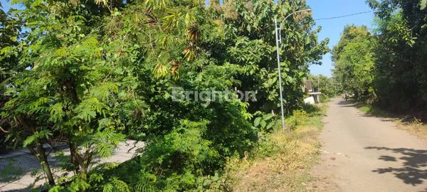 image TANAH DI NGANJUK (3)