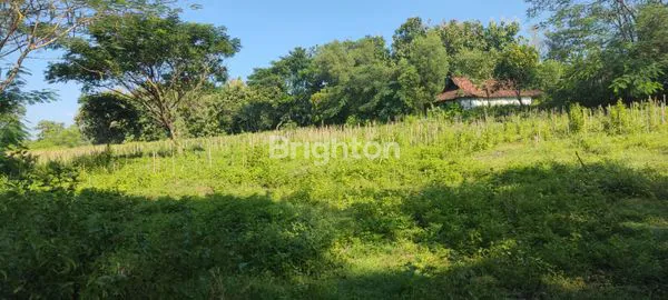 image TANAH DI NGANJUK (5)