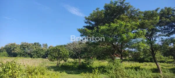 image TANAH DI NGANJUK (7)