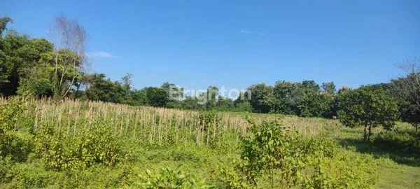 image TANAH DI NGANJUK (8)