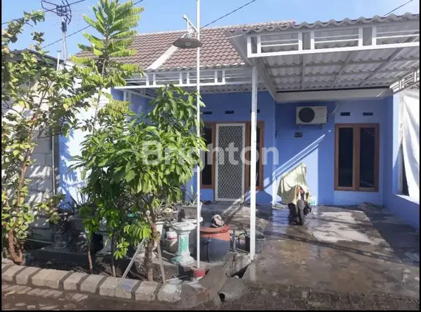 image RUMAH 1 LANTAI TERAWAT SIAP HUNI SAPPHIRE RESIDENCE (1)