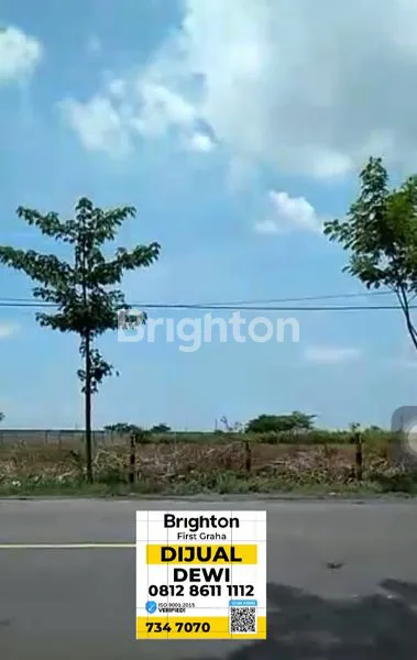 image TANAH INDUSTRI ZONA 3 TUBAN NOL JALAN PROVINSI WIDANG - TUBAN (3)