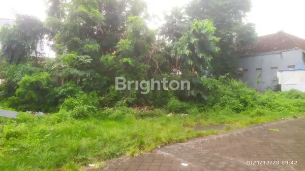 image TANAH DAERAH GOA GONG (4)