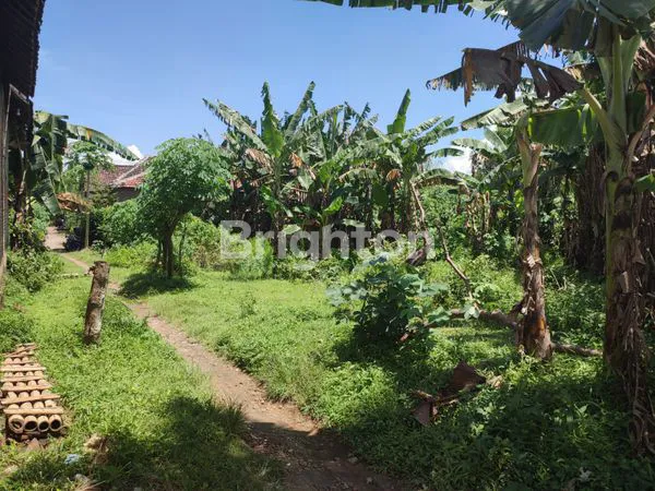 image TANAH SIAP BANGUN DI MARON KEDIRI (2)