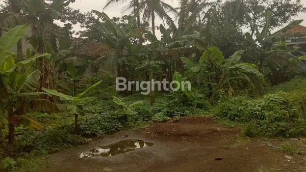 image TANAH COCOK UNTUK BANGUN RUMAH ATAU BERKEBUN (4)