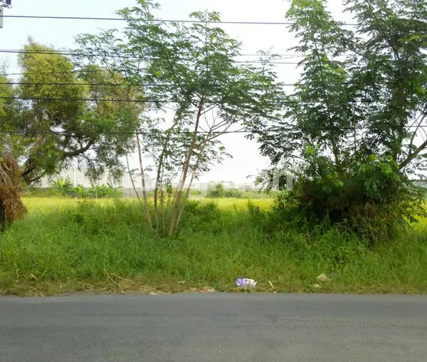 image GUDANG INDUSTRI PELEM WATU MENGANTI GRESIK (3)