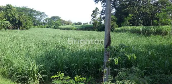 image TANAH JALAN RAYA PROVINSI KOTA KEDIRI (2)