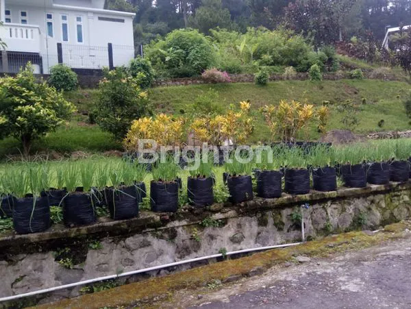 image TANAH TAWANGMANGU SAMPING RIVER HILL COCOK UNTUK VILLA (1)