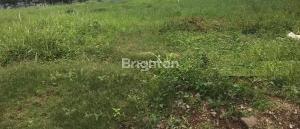 image TANAH KAVLING HOOK BAYLEAF NATURAL RESIDENCE MENGANTI (1)