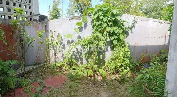 image  RUMAH MINIMALIS WIKA BERAU (7)