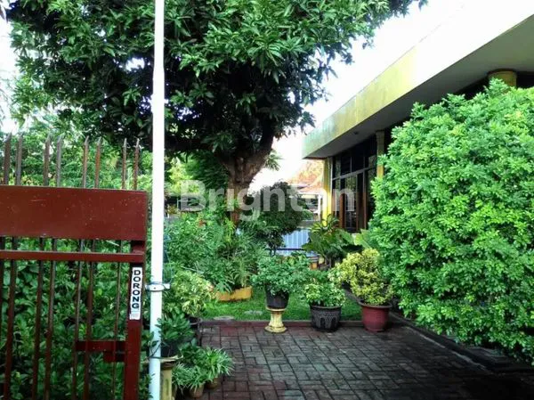 image RUMAH TENGAH KOTA JL SUMBAWA SURABAYA (7)
