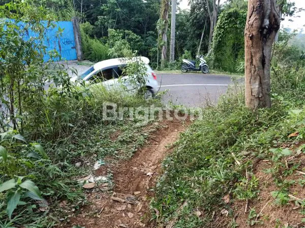image BUTUH LAKU CEPAT TANAH JALAN BOJA BANDUNGAN (3)