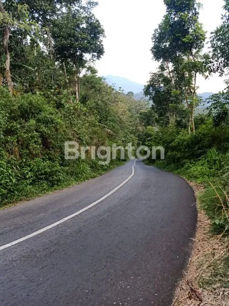 image BUTUH LAKU CEPAT TANAH JALAN BOJA BANDUNGAN (4)