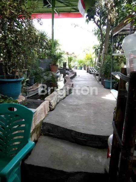 image RUMAH  + CAFE BESERTA PERABOT SIAP UNTUK OPERASIONAL DS PALAAN KEC NGUJUM MALANG (2)