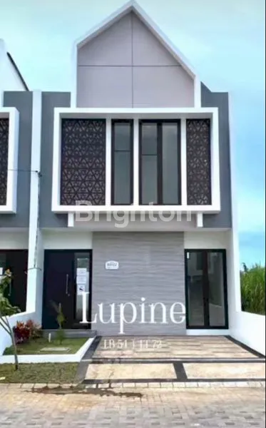 image HUNIAN AMARTHA SAFIRA LUPINE (1)