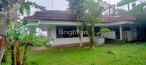 image VILLA TRAWAS AREA RECO LANANGBESAR DAN LUAS COCOK UNTUK KELUARGA BESAR YANG BERLIBUR (2)